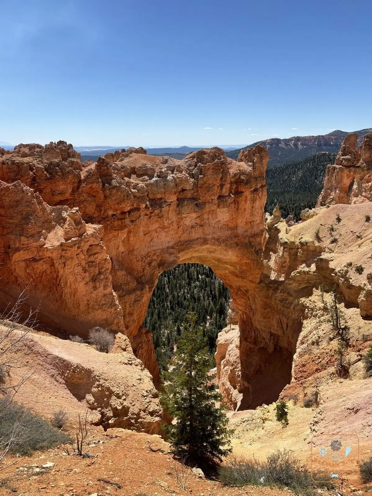 L'arche du Natural Bridge de Bryce Canyon