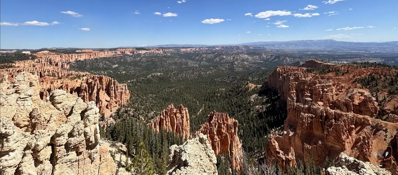 Les falaises roses de Bryce Canyon depuis Rainbow Point