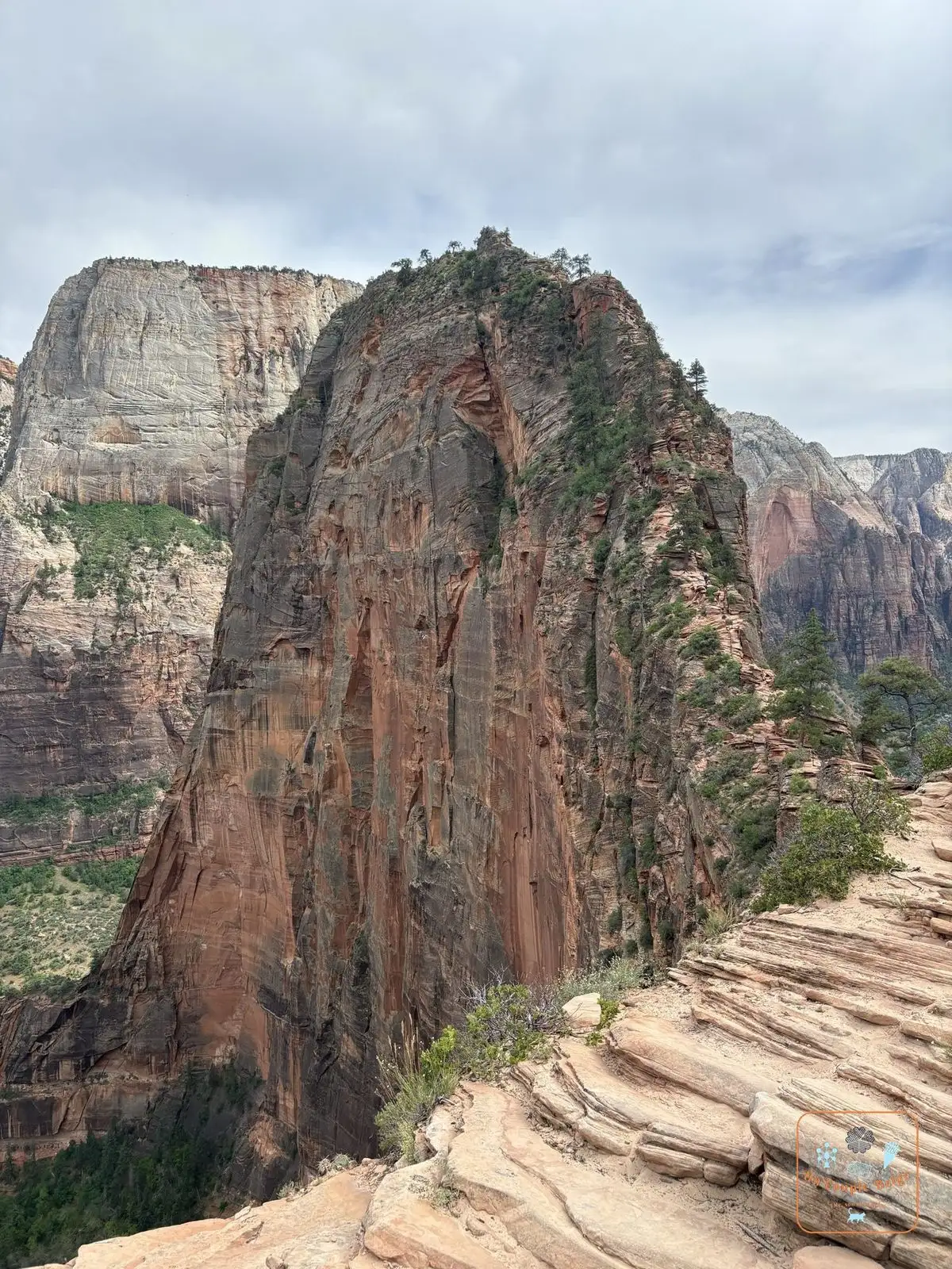 L'arête d'Angels Landing vue depuis Scout Lookout