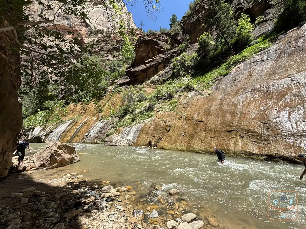 Des randonneurs traversent la Virgin River dans les Narrows
