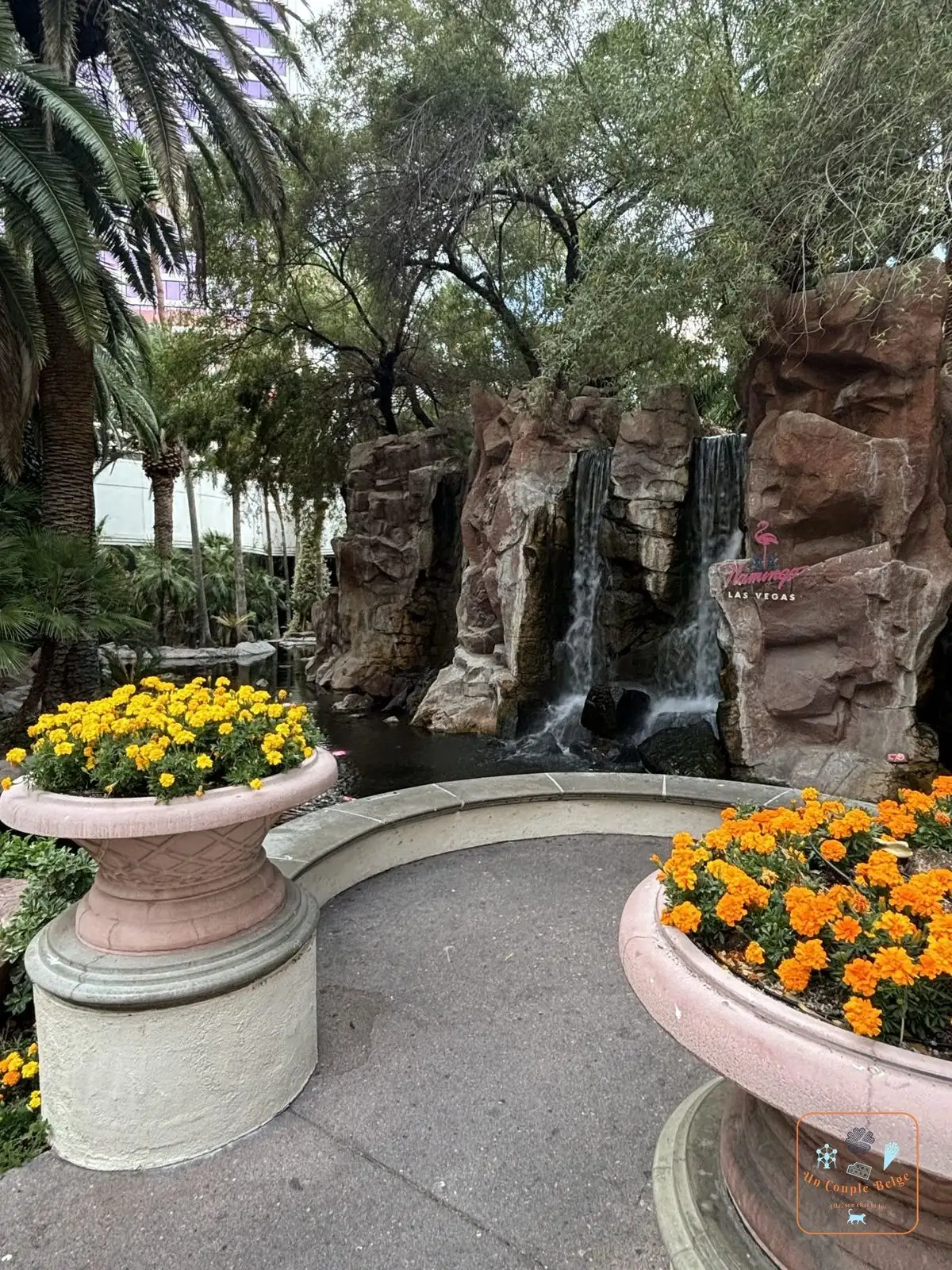 Une cascade dans le jardin du Flamingo