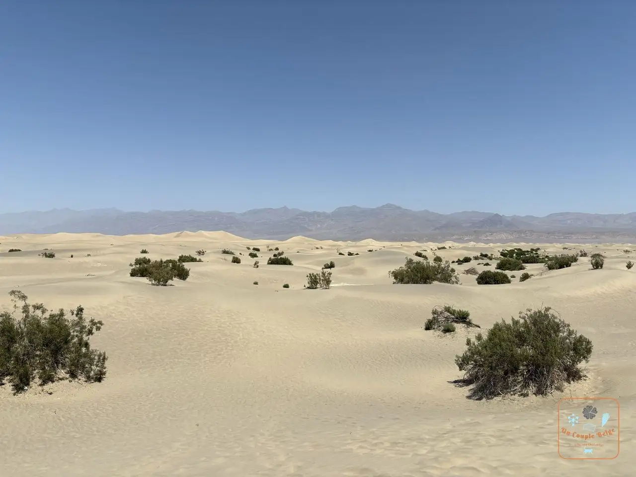 Les dunes de sable de Mesquite Flat parsemées de buissons