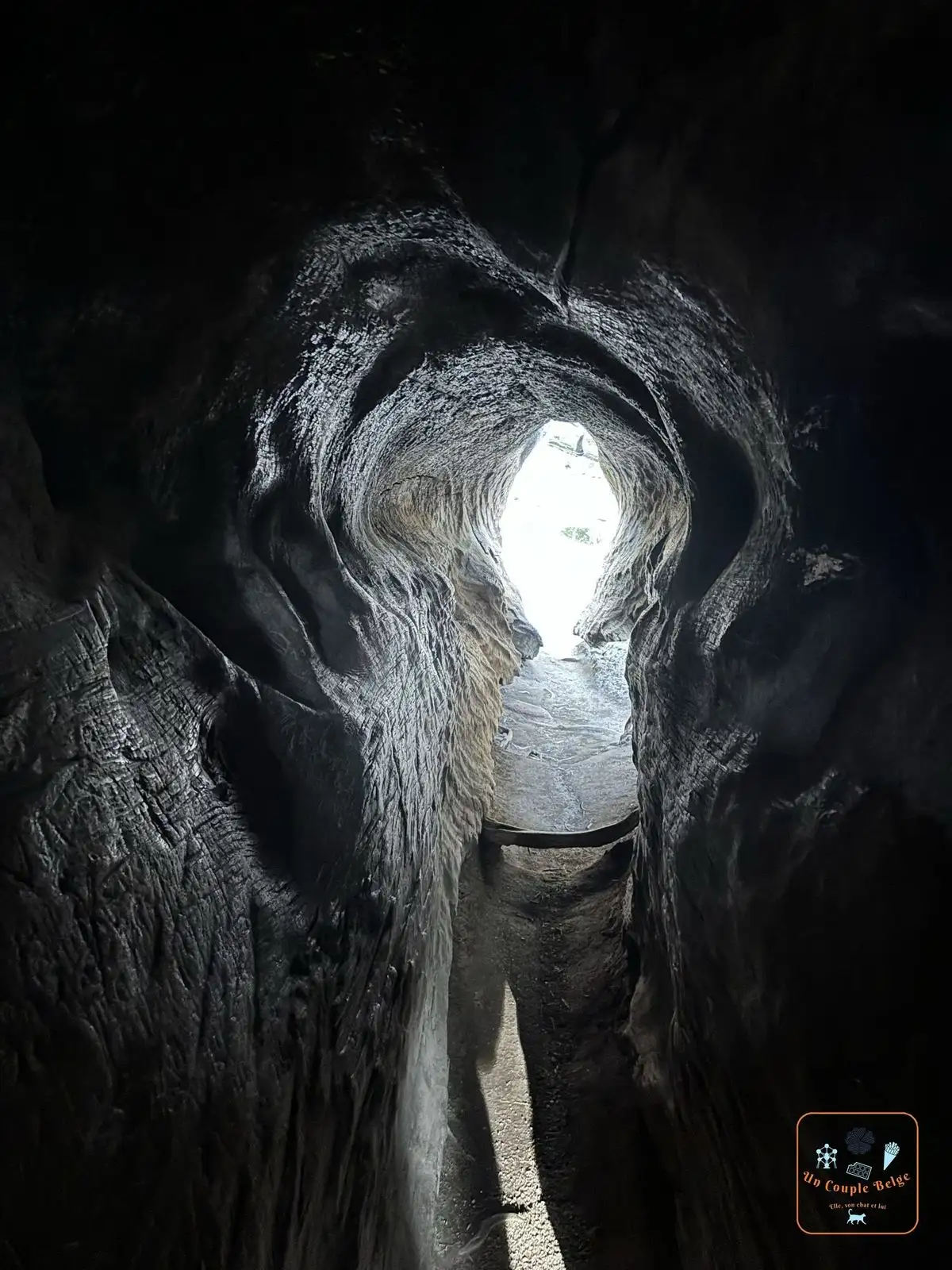 L'intérieur creux du Fallen Monarch avec la lumière au bout