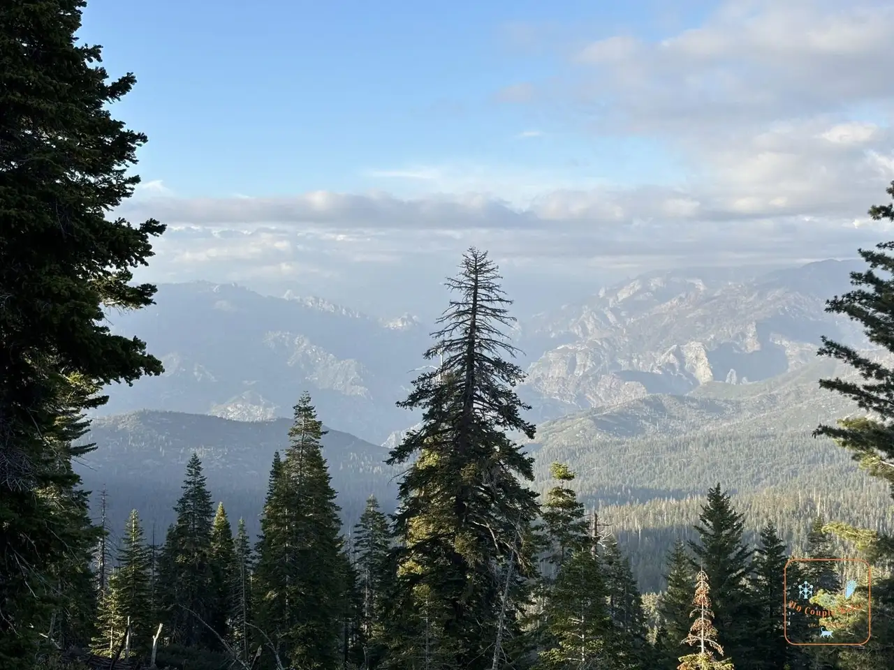 Vue sur les montagnes de Kings Canyon au-dessus des sapins en fin de journée