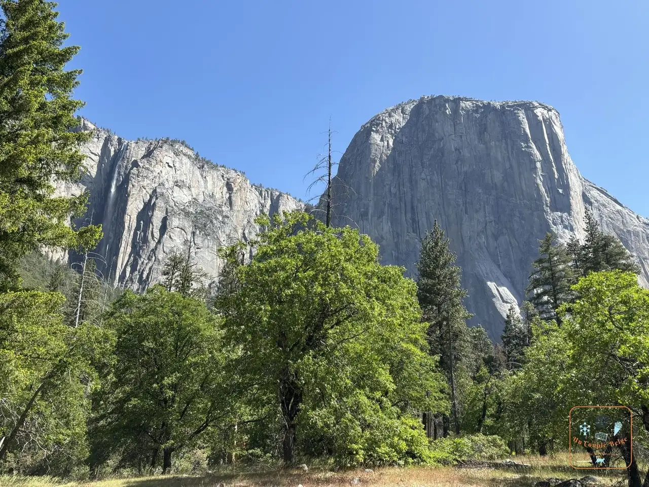 El Capitan au-dessus d'une prairie et des chênes de la vallée