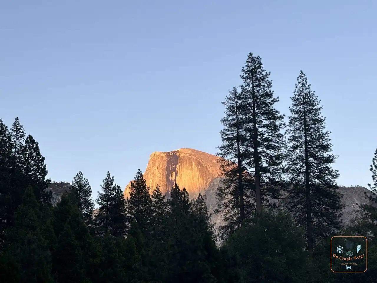 Le sommet de Half Dome éclairé en orange par le coucher du soleil au-dessus des pins