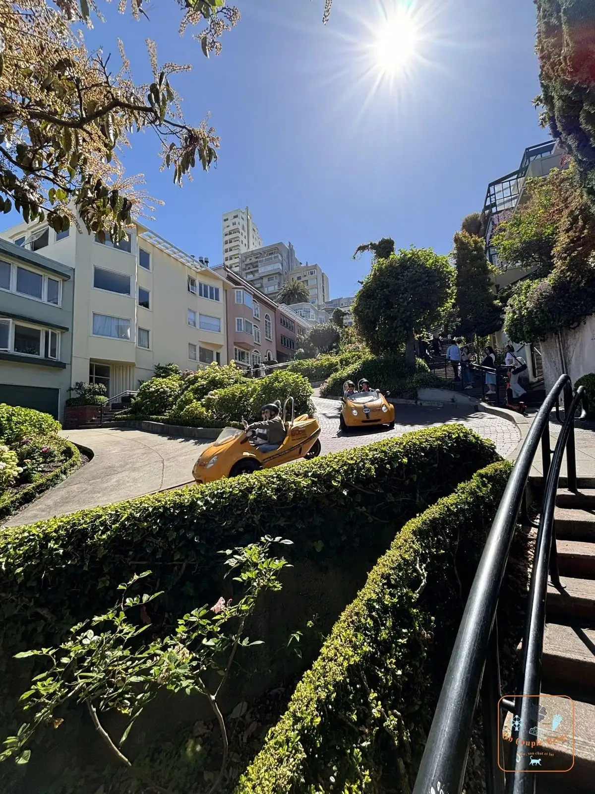 Les virages fleuris de Lombard Street avec des petites voitures jaunes