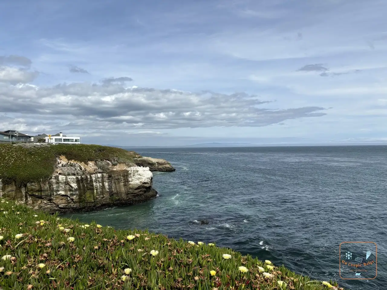 Les falaises couvertes de fleurs de West Cliff Drive à Santa Cruz