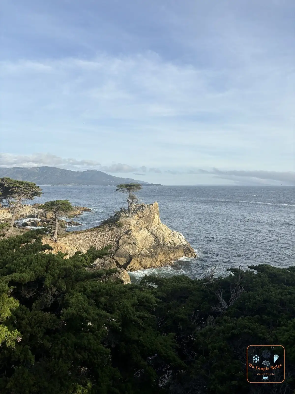 Le Lone Cypress sur son rocher au-dessus de l'océan