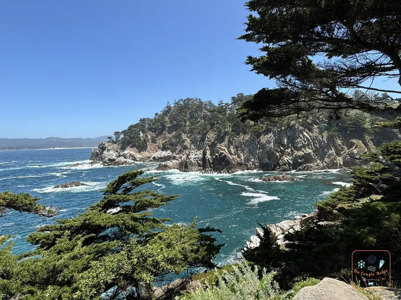 Une crique entourée de cyprès et de falaises à Point Lobos