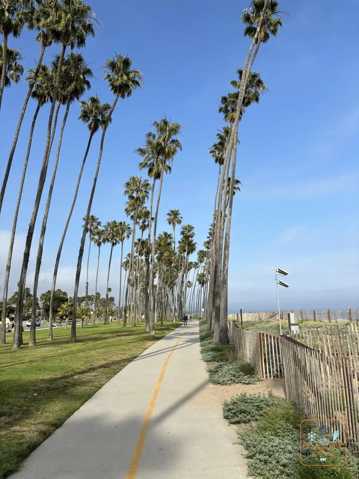La promenade bordée de grands palmiers le long de la plage de Santa Barbara