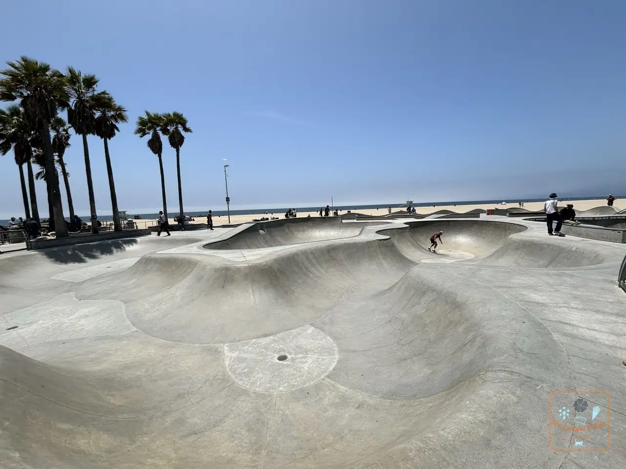 Les bowls du Venice Skatepark face à l'océan
