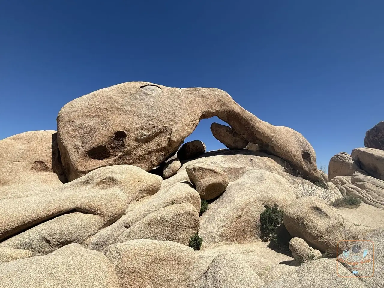 Arch Rock