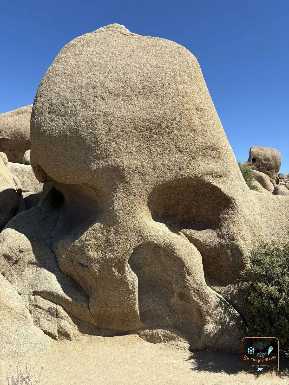 Skull Rock, le rocher en forme de crâne