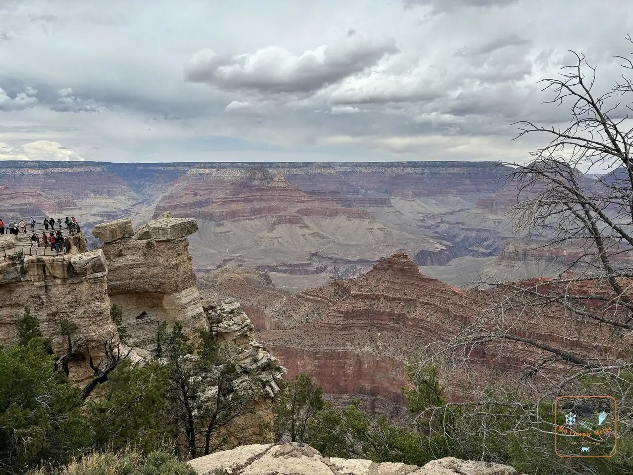 Le point de vue de Mather Point