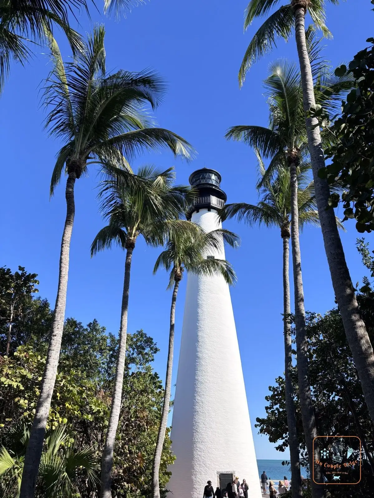 Le phare blanc de Cape Florida entre les palmiers