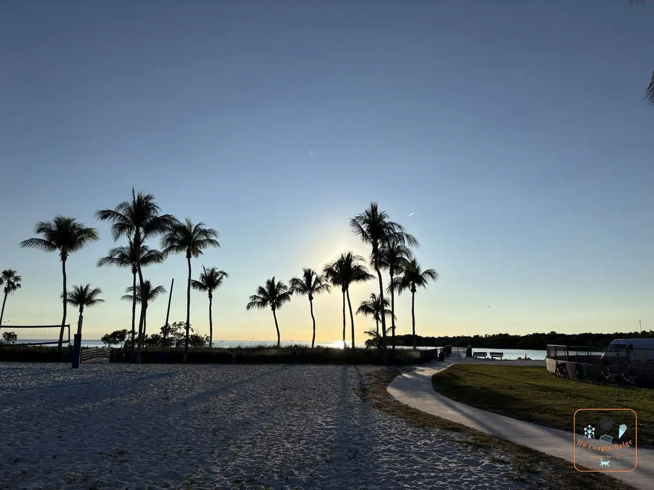 Les palmiers de Sombrero Beach au coucher du soleil