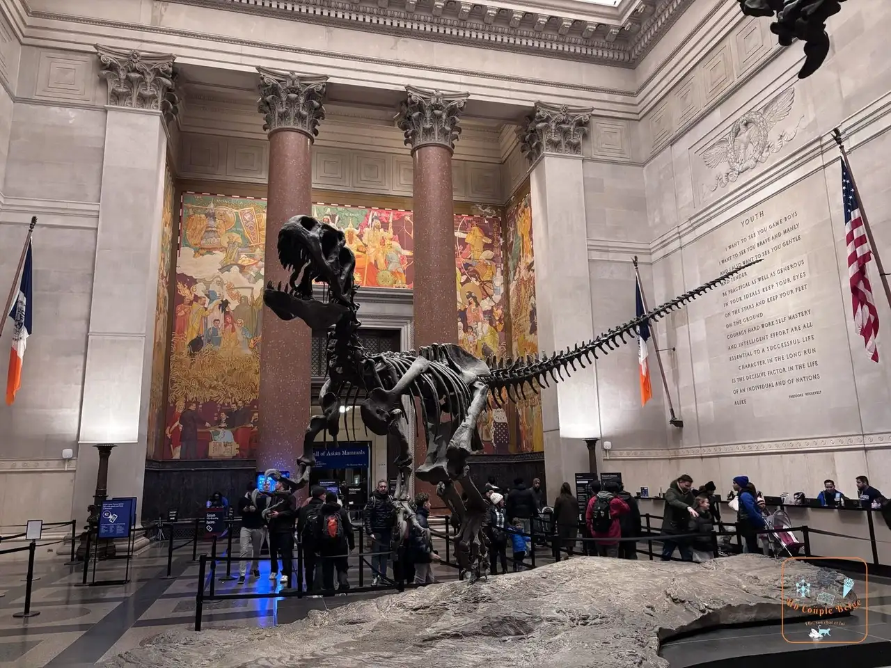 Le squelette de Barosaurus dans la rotonde Theodore Roosevelt du musée d'histoire naturelle