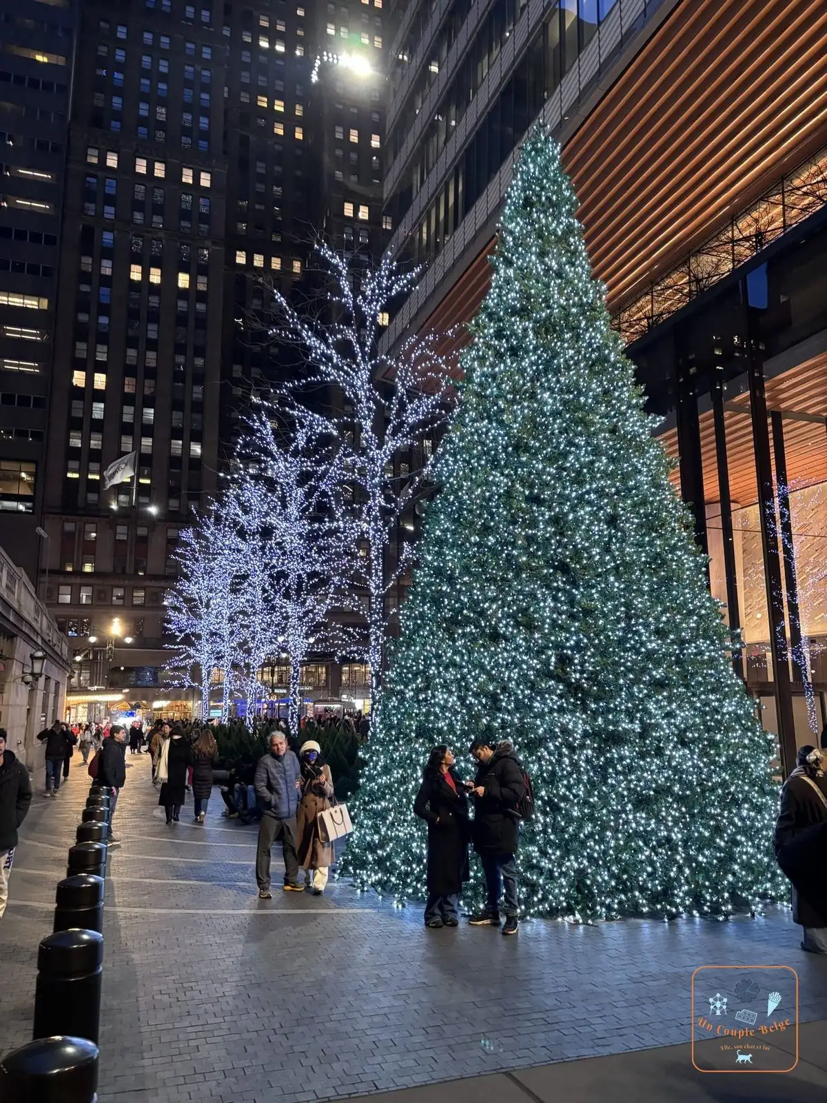 Grand sapin illuminé de bleu et de blanc au pied de One Vanderbilt, à la sortie de Grand Central