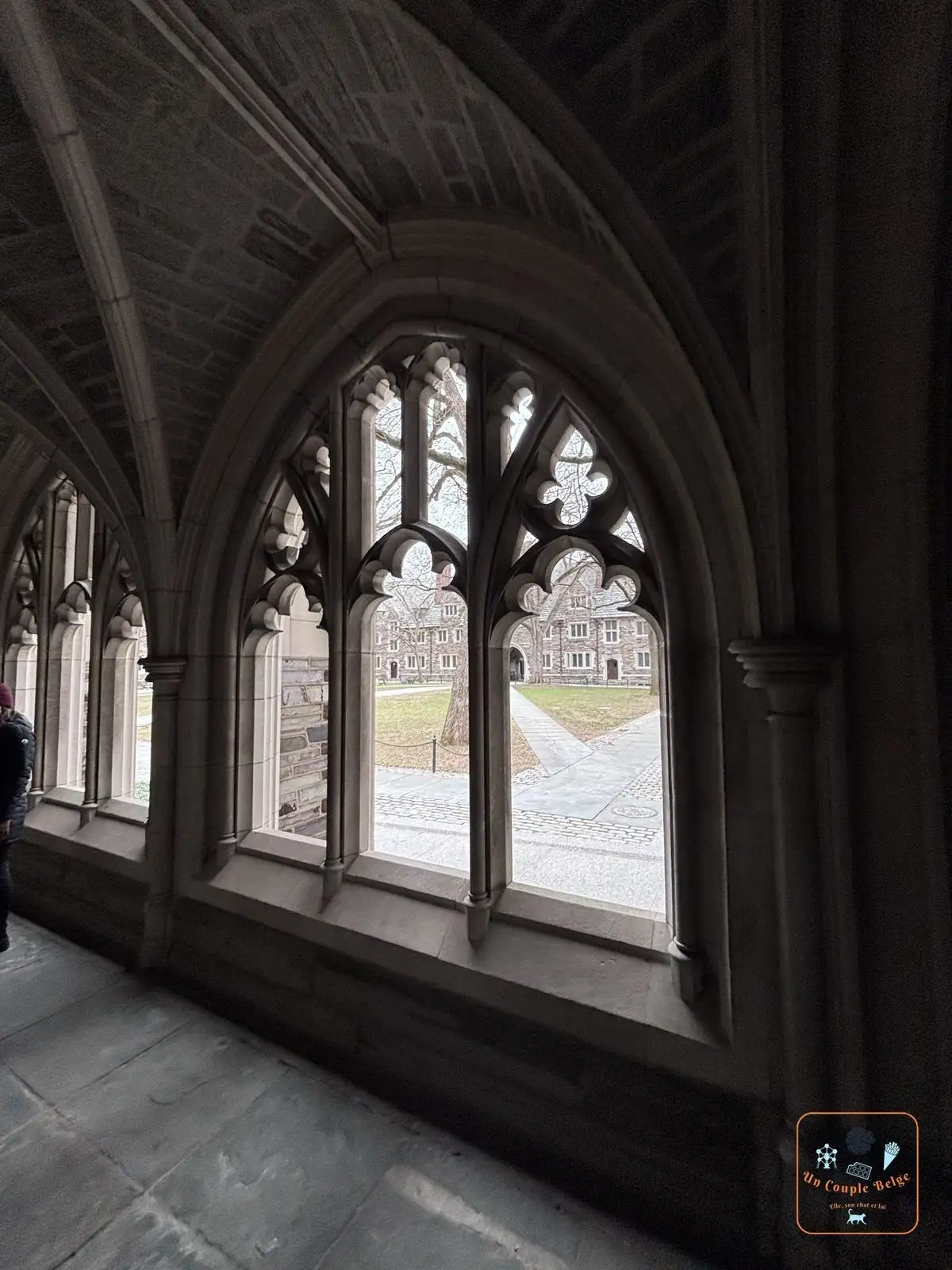 Fenêtres gothiques d'un cloître sur le campus de Princeton