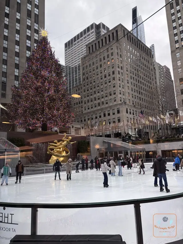 RT2 – Jour 4 – Noël à New York : Top of the Rock, Rockefeller Center, Central Park et Grand Central