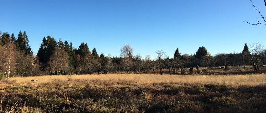 Promenons nous dans… #5 les hautes&nbsp;fagnes