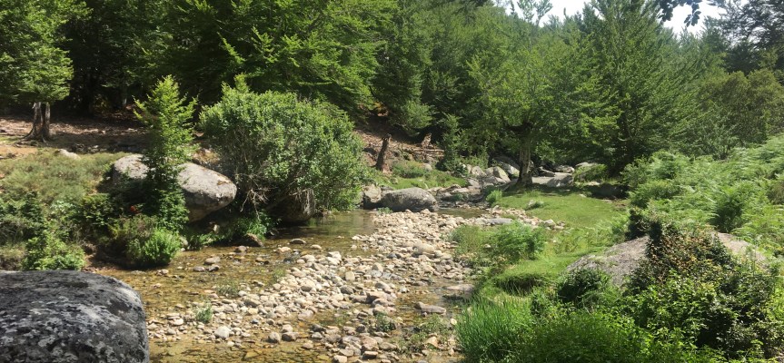 GR20 – 2019 – Usciolu à I&nbsp;croci